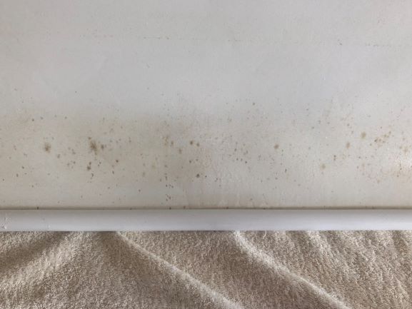cómo quitar moho y hongos de sus cortinas roller y estores