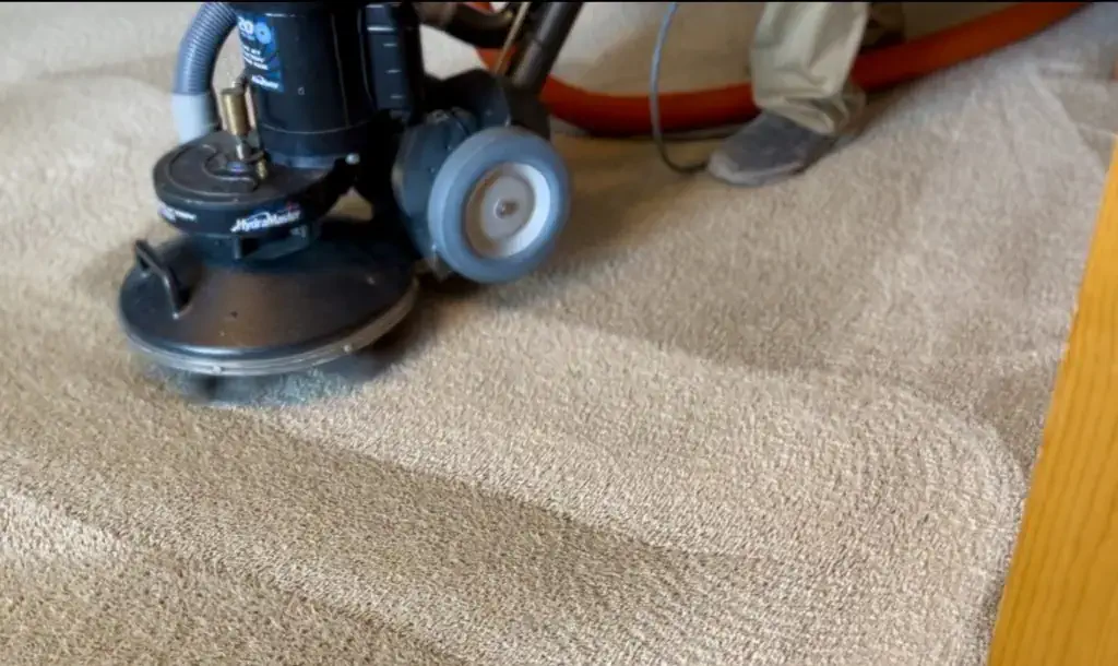 Cuánto Cuesta el Lavado de Alfombras a Domicilio en Perú