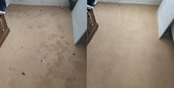 Precio Promedio del Lavado de Alfombras
