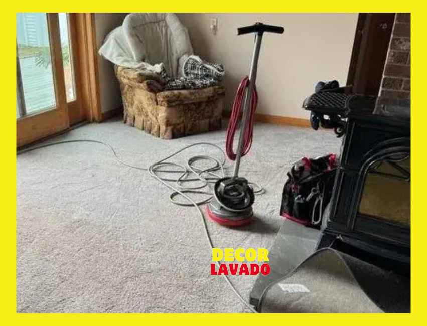 Proceso Profesional de Lavado de Alfombras con atencion a domicilio