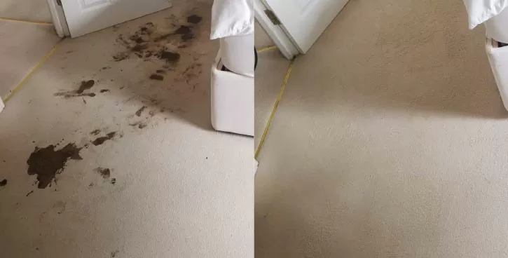 Cuánto Cuesta el Lavado de Alfombras